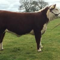 Moorside 1 Jane 6th Moorside 1 Jane 6th