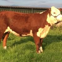 Moorside 1 Jane 5th Moorside 1 Jane 5th