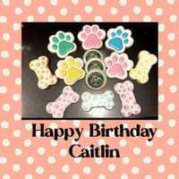 Paragon Grooming and PetCo. Paragon Grooming and PetCo.