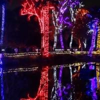Phoenix Lights Phoenix Lights