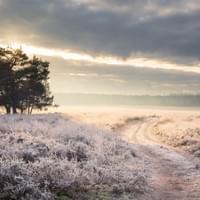 Oud Reemst Oud Reemst