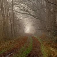 Herfst in Ede Herfst in Ede