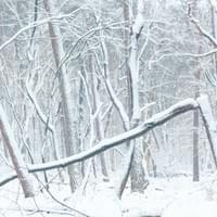 Winter in Ede Winter in Ede