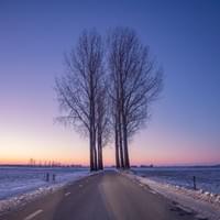 Binnenveld in winterlicht Binnenveld in winterlicht
