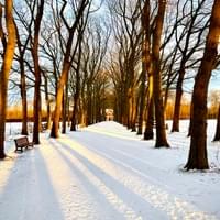 Landgoed Kernhem in winterlicht Landgoed Kernhem in winterlicht