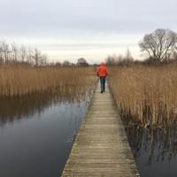 De Groene Grens in de Binnenveldse Hooilanden De Groene Grens in de Binnenveldse Hooilanden