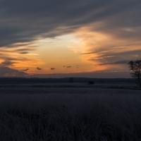 Edese Heide Edese Heide