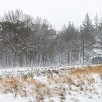 Ede in de winter Ede in de winter