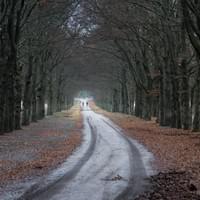 Planken Wambuis Planken Wambuis