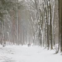 Wandelen in de winter Wandelen in de winter