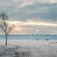 Oud Reemst Oud Reemst