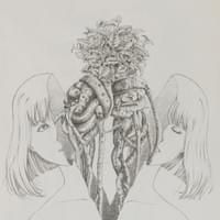 綻 Bloom 綻 Bloom