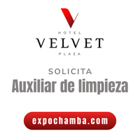 Auxiliar de Limpieza Auxiliar de Limpieza