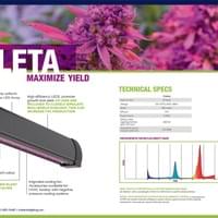 Lighting Design Lighting Design