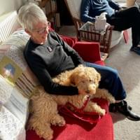 Lucy's Mum Lucy's Mum