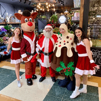 2019 Norton Plaza 2019 Norton Plaza