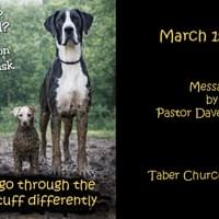 March 15, 2026 March 15, 2026