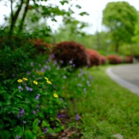 C645 45/2.8 @F2.8 C645 45/2.8 @F2.8