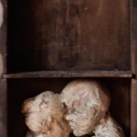 "Sacrament" "Sacrament"