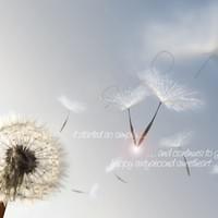 BIRTHDAY CARD #7 BIRTHDAY CARD #7