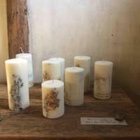 aloka series aloka series