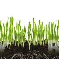 BIRTHDAY CARD #8 BIRTHDAY CARD #8