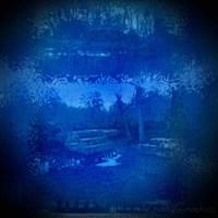 Water Has No Memory  Water Has No Memory