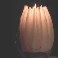 photo by Kensei Hama