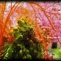 Color My World Color My World