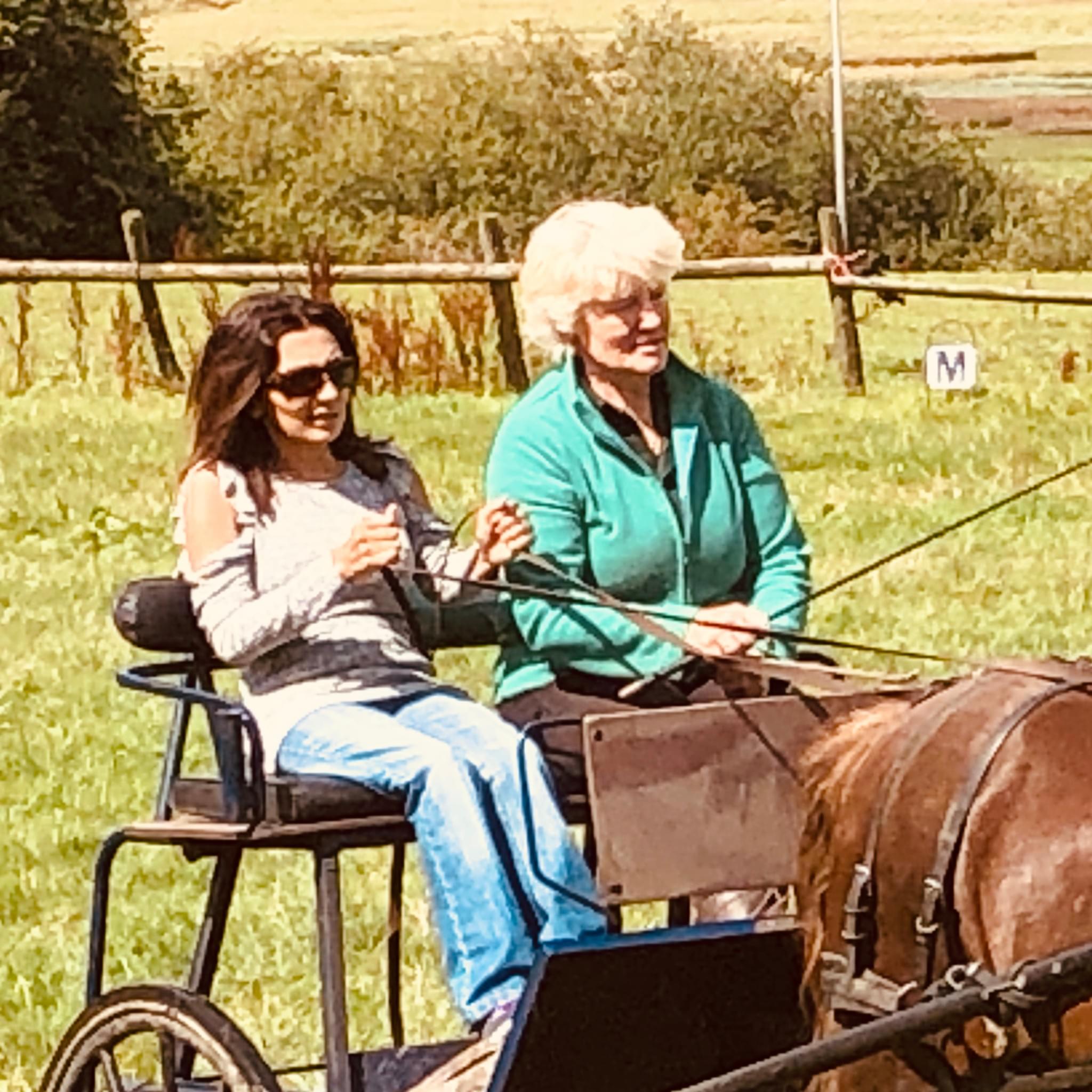 Amy in the midst of a Horse & Carridge lesson! 😊