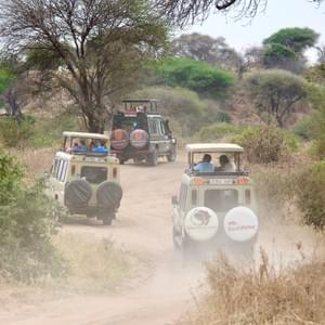 Safari Game Drive, Tarangire National Park Safari Game Drive, Tarangire National Park