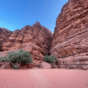 Red Sandstone Canyon, Wadi Rum Red Sandstone Canyon, Wadi Rum