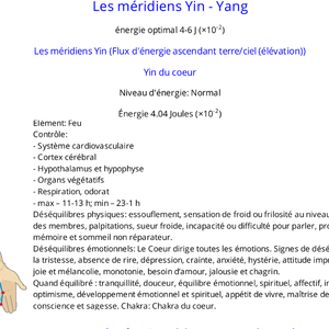Extrait du rapport partie méridien Yin du cœur - GDV Bio-Well