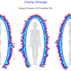 Extrait du rapport partie champ d'énergie - GDV Bio-Well