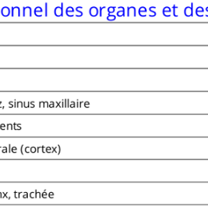 Extrait du rapport partie état fonctionnel des organes et systèmes - GDV Bio-Well