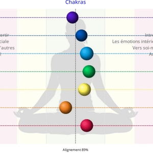 Extrait du rapport partie alignement et niveau d'énergie des centres d'énergie (chakras) - GDV Bio-Well