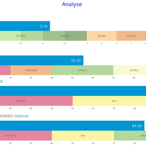 Extrait du rapport partie analyse : Niveau de stress, niveau d'énergie global, équilibre global - GDV Bio-Well