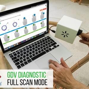 Vu du logiciel GDV Bio-Well - Scan des doigts