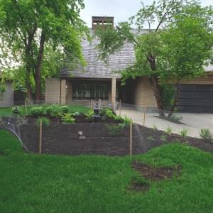 Lush varying green colours.