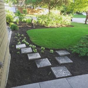 A tired garden A tired garden