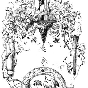 Section image
