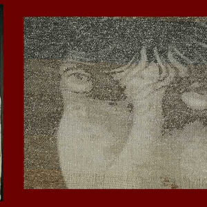 Film (2000) Film (2000)