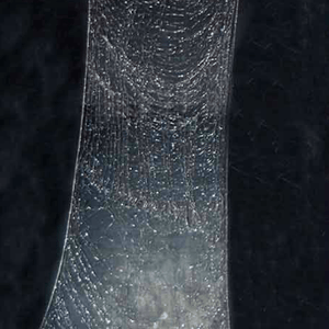 Web (2006) Web (2006)