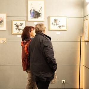 Cinéma Les Alizés, Bron, France