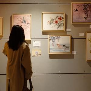 Cinéma Les Alizés, Bron, France