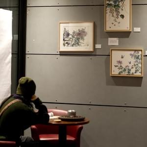 Cinéma Les Alizés, Bron, France