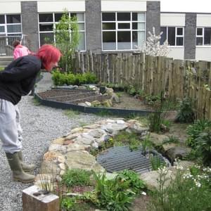 School garden Wexford town School garden Wexford town