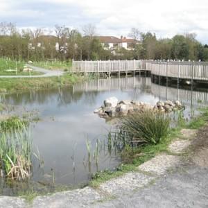 Pond in Airfield, Dundrum Pond in Airfield, Dundrum