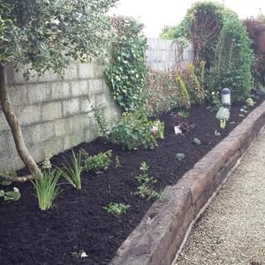 Private garden Waterford City Private garden Waterford City