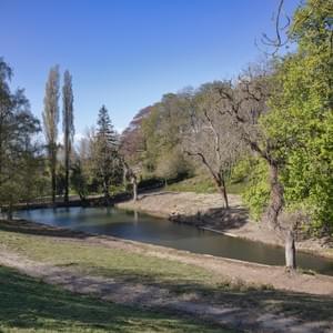 Section image